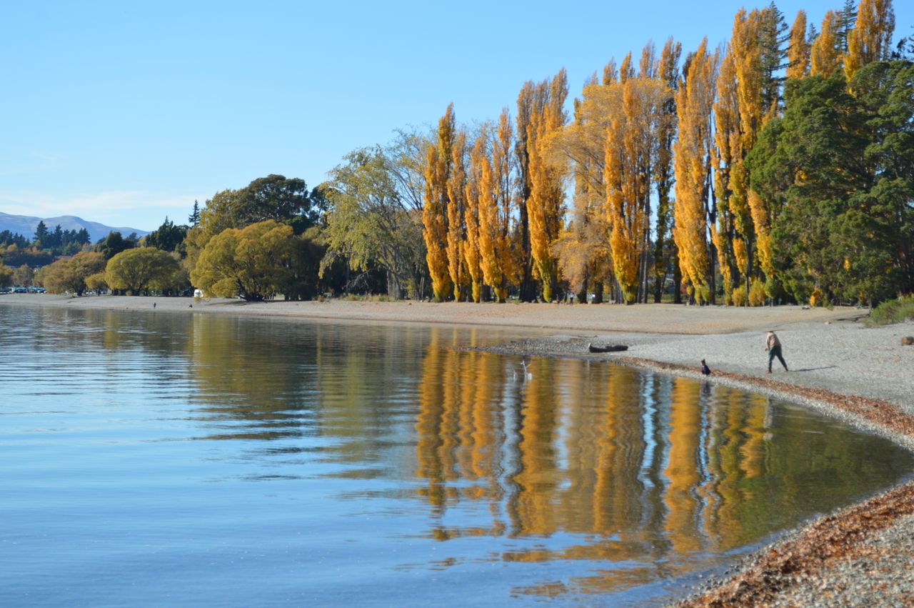 why-choose-us Tranquil autumn scene with golden trees reflected in a clear lake under blue skies.